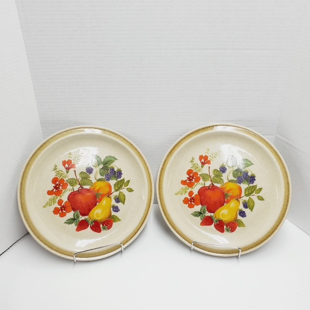 TWO Country Living Dinner Plates Stoneware Delicious SY-6079 Japan